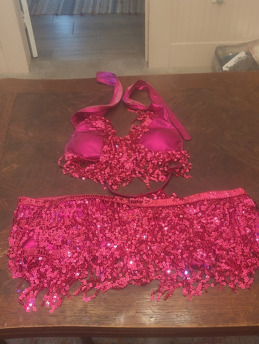 Fuchsia Sequin Halter Bra and Hip Scarf Set - Women